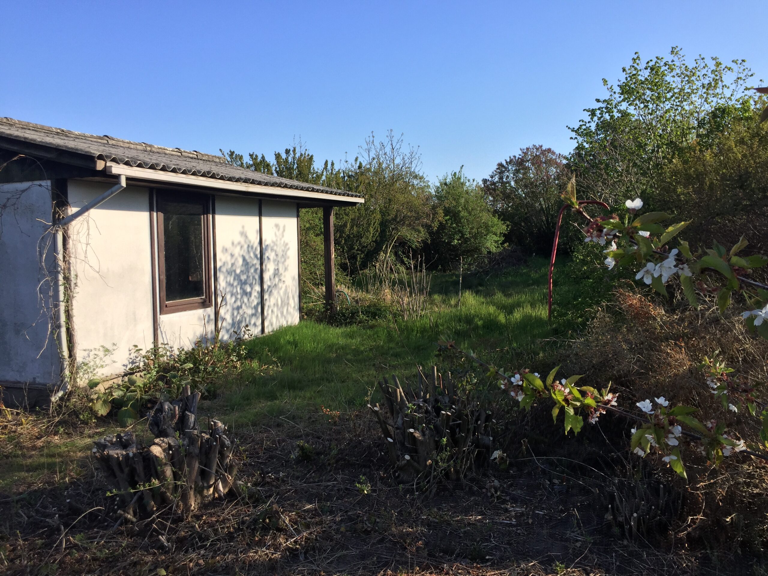 Kleingärtnerverein Ostrau e.V. - Wir gärtnern seit 1956 - 1 - Garten